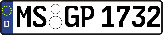 MS-GP1732