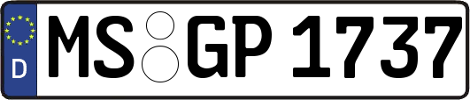 MS-GP1737