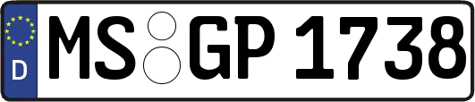 MS-GP1738