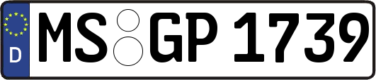 MS-GP1739