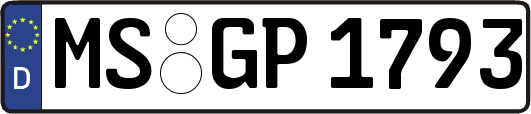 MS-GP1793