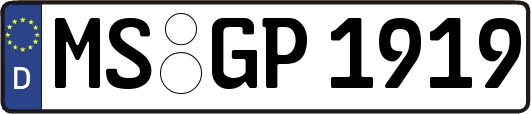MS-GP1919