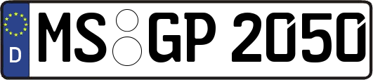 MS-GP2050