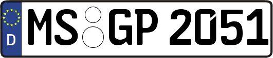 MS-GP2051