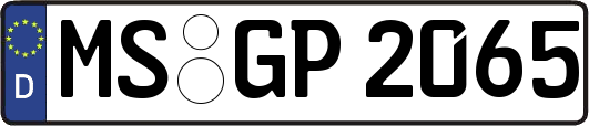 MS-GP2065