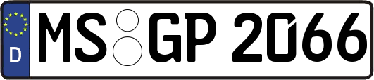MS-GP2066