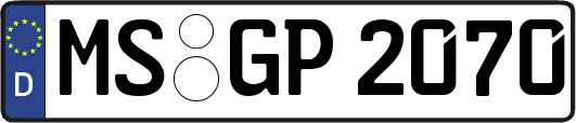 MS-GP2070