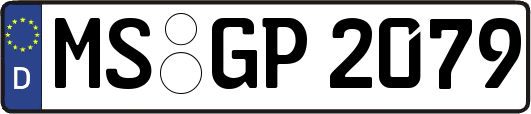 MS-GP2079
