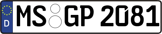 MS-GP2081