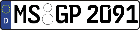 MS-GP2091