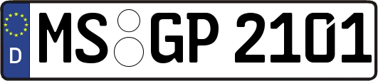 MS-GP2101