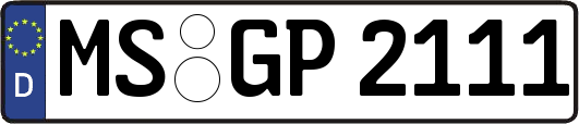 MS-GP2111