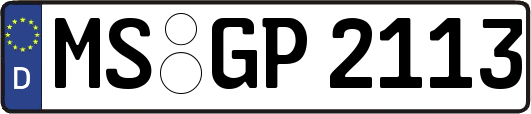 MS-GP2113
