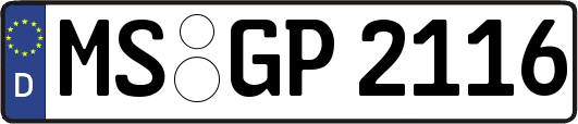 MS-GP2116