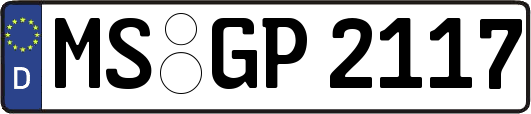 MS-GP2117