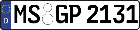 MS-GP2131