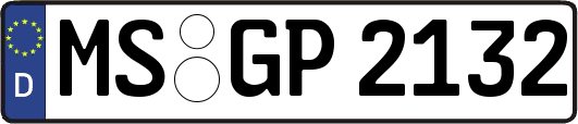 MS-GP2132