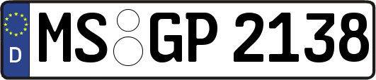 MS-GP2138