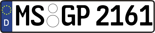 MS-GP2161