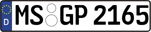 MS-GP2165