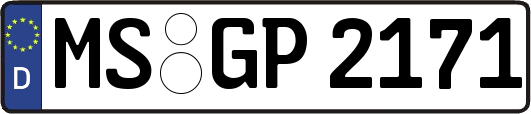 MS-GP2171