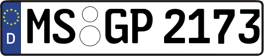 MS-GP2173