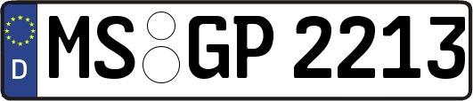 MS-GP2213