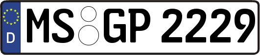 MS-GP2229
