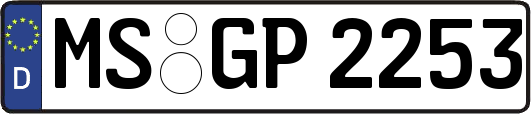 MS-GP2253