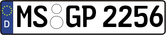 MS-GP2256
