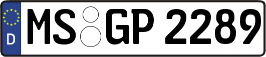 MS-GP2289