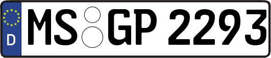 MS-GP2293
