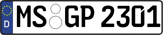 MS-GP2301