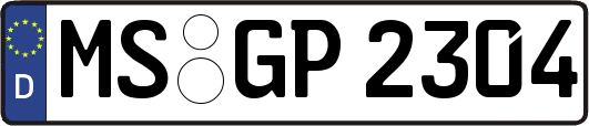 MS-GP2304