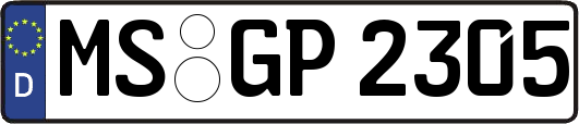 MS-GP2305