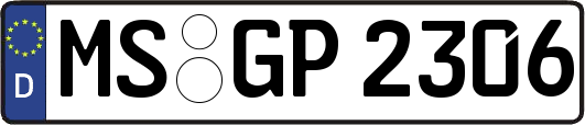 MS-GP2306