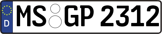MS-GP2312