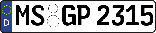 MS-GP2315