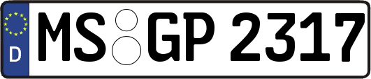 MS-GP2317