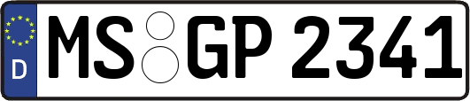 MS-GP2341