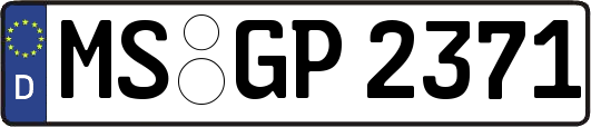 MS-GP2371
