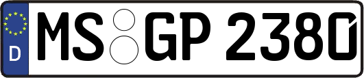 MS-GP2380