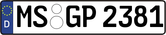 MS-GP2381