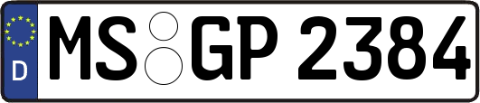 MS-GP2384