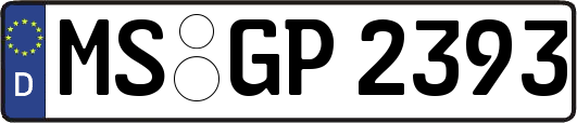 MS-GP2393