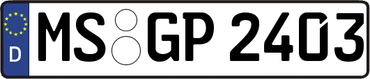 MS-GP2403