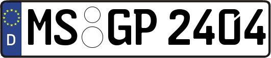 MS-GP2404