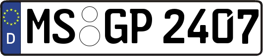 MS-GP2407