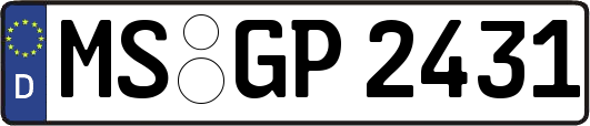 MS-GP2431
