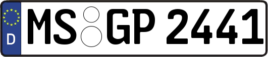 MS-GP2441